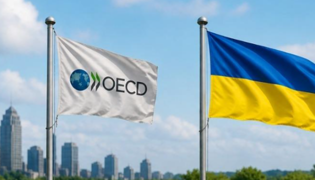 Відновлення України після російських атак: приєднання до Комітету ОЕСР із захисту довкілля