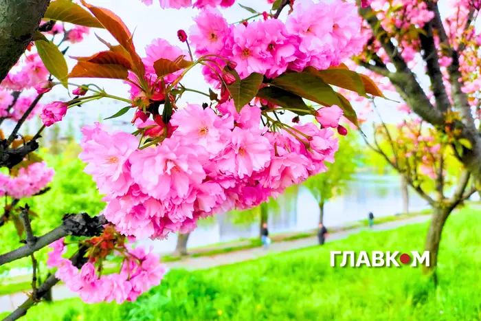 Погода в Україні на 6 травня: сонячно, без опадів
