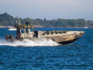 Фінляндія проведе масштабні військові навчання біля кордону з РФ: що відомо