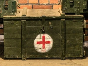 Словаччина включила лікарні до оборони для виконання норм НАТО