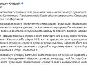 Грузинська православна церква обрала нового Патріарха: що про нього відомо фото 1